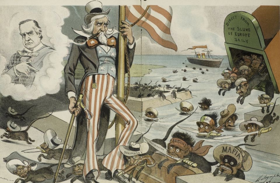 1P5swOolQkerOVTYtqb2Og6 (1000x653).jpg