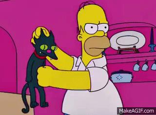 1PoXxC2.gif