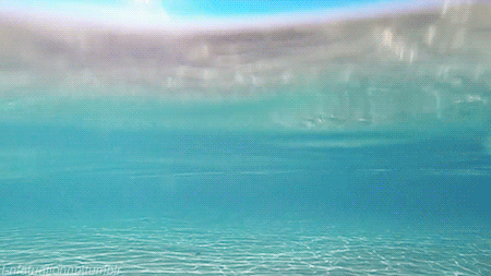1tvf.gif