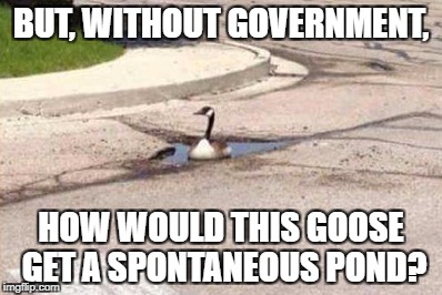 1x6qj2.jpg