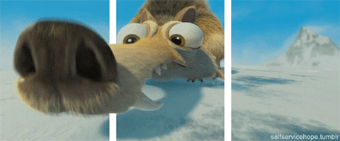 1yMvhR4M47Okw4n8tt.gif