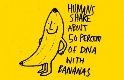 20-Fascinating-facts-that-will-blow-your-mind-011.jpg