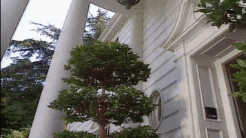200.gif