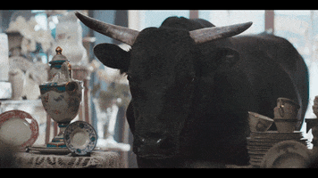 200.gif