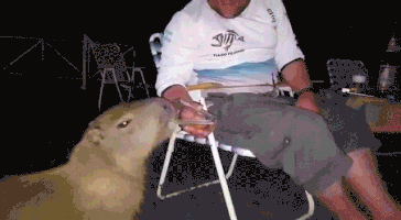 200_d (10).gif