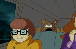 200_d (4).gif