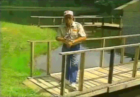 200_d (6).gif