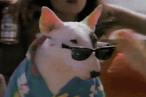 200_d (7).gif