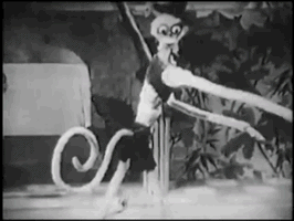 200_d (8).gif