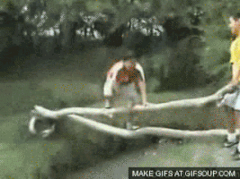 200_d (8).gif