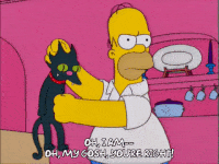 200w (19).gif
