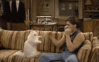200w (23).gif