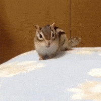 200w.gif