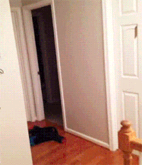 200w_d (3).gif