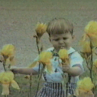 200w_d (3).gif