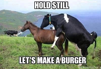 2013_horse_meat_03.jpg