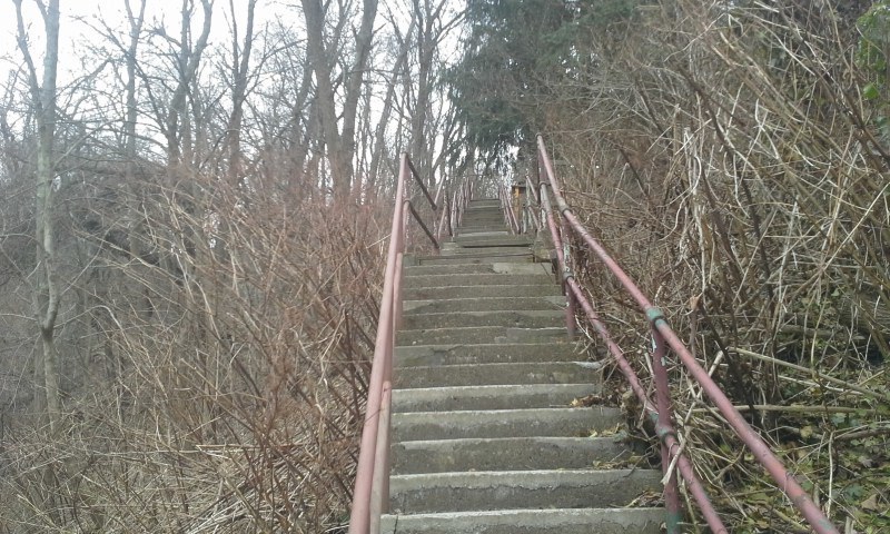 20140403_131315.jpg