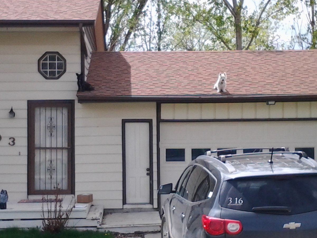 20140523_152500.jpg