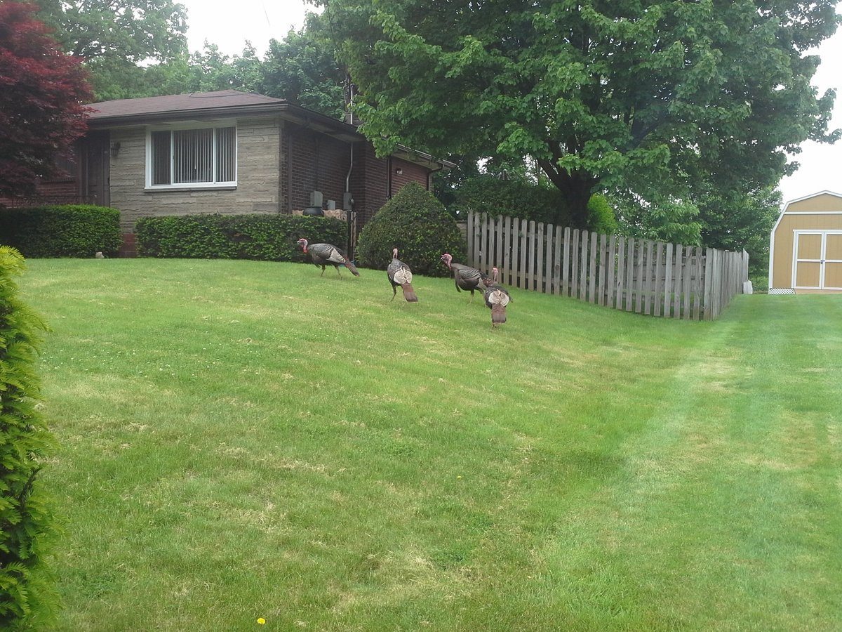 20140527_120937.jpg