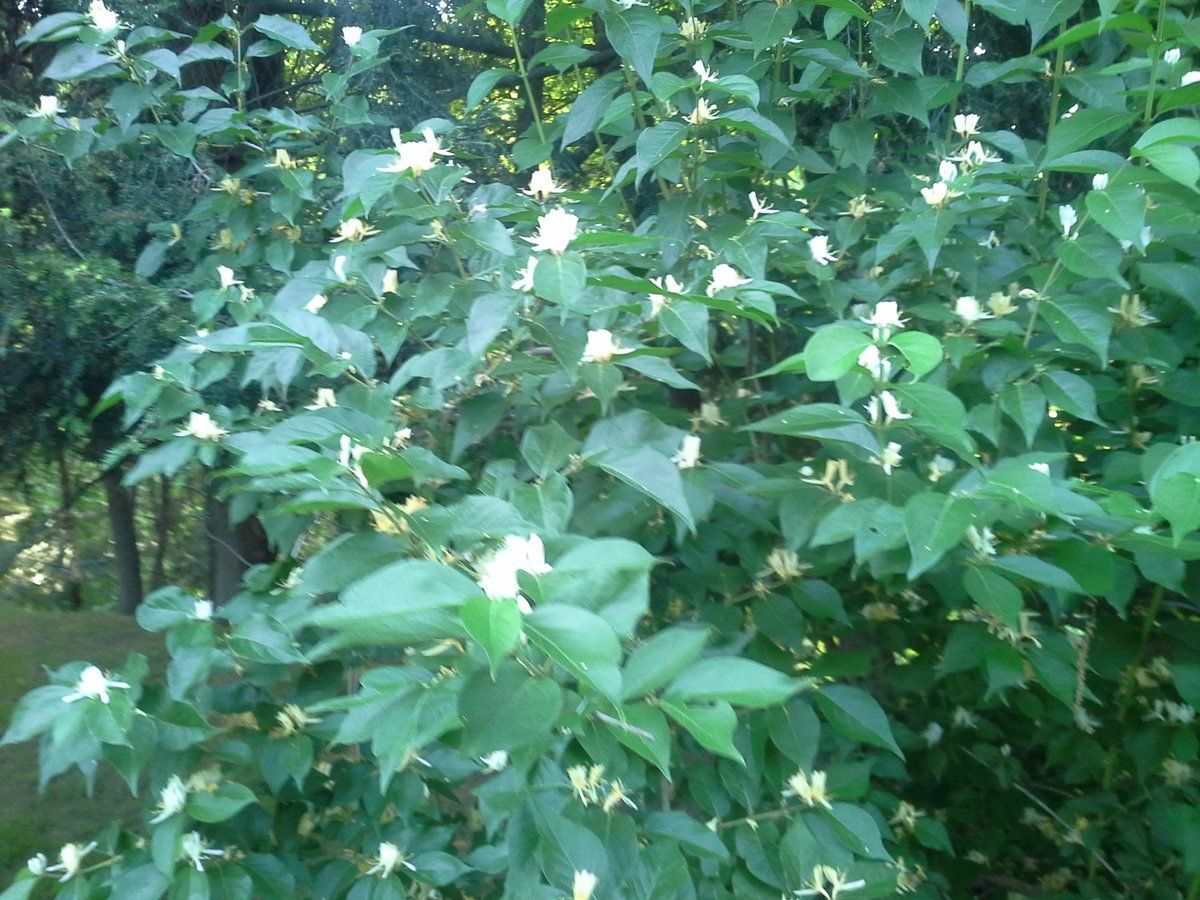 20140601_183803.jpg
