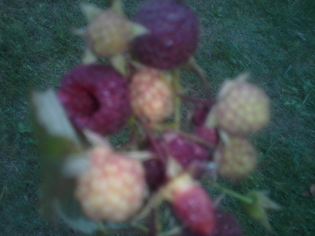 20141005_150103.jpg