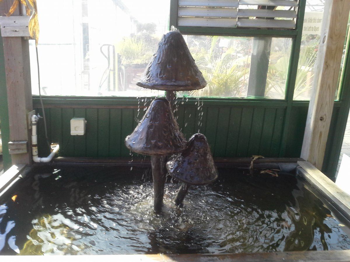 20141012_141126.jpg