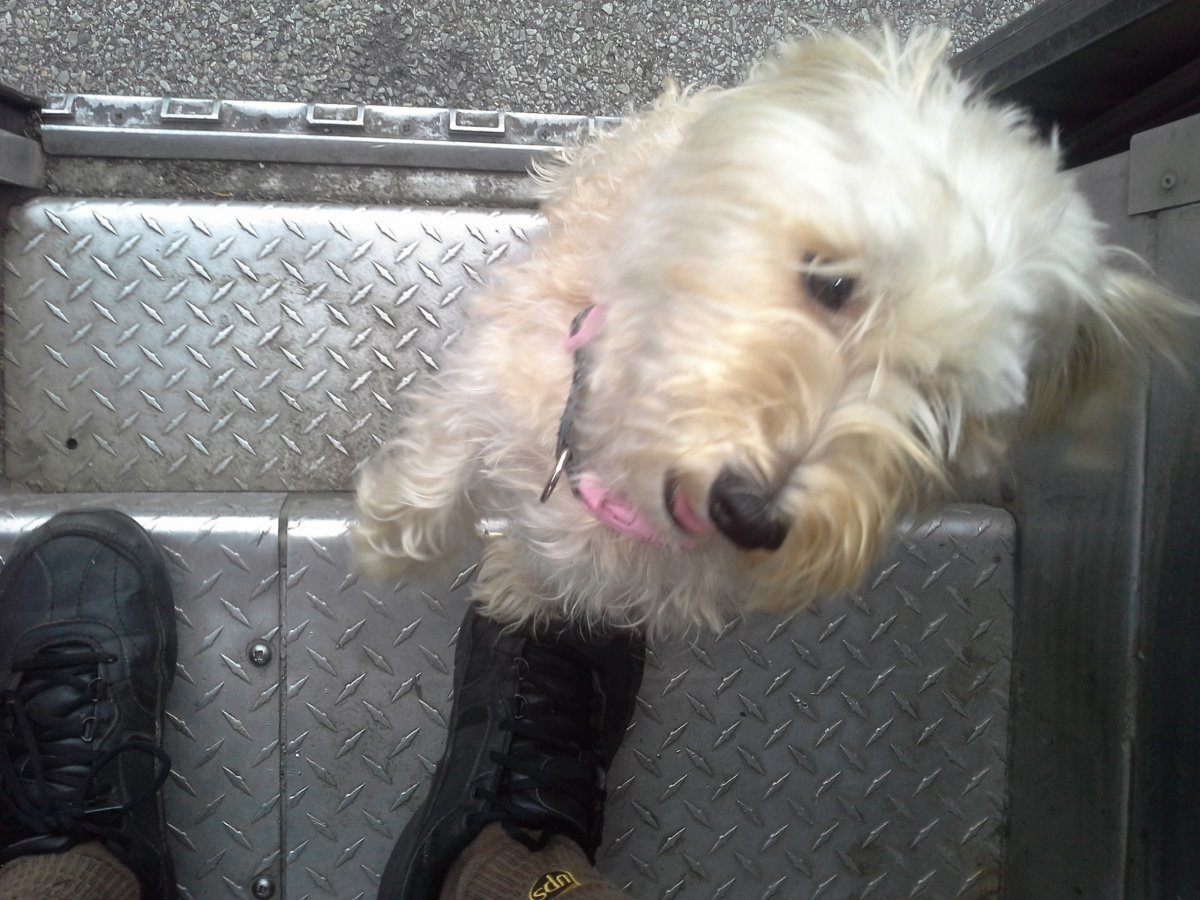 20141013_174215.jpg