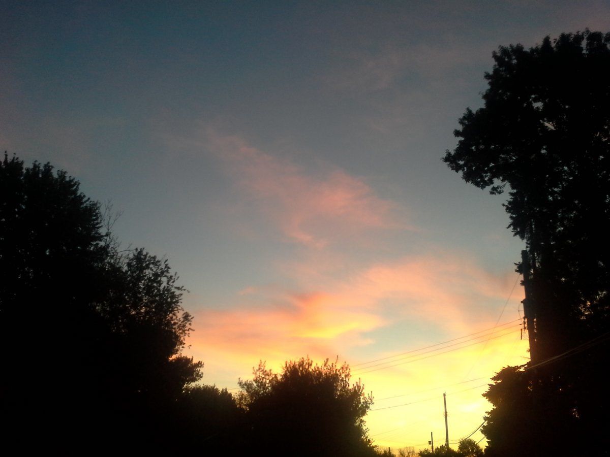 20141014_071432.jpg
