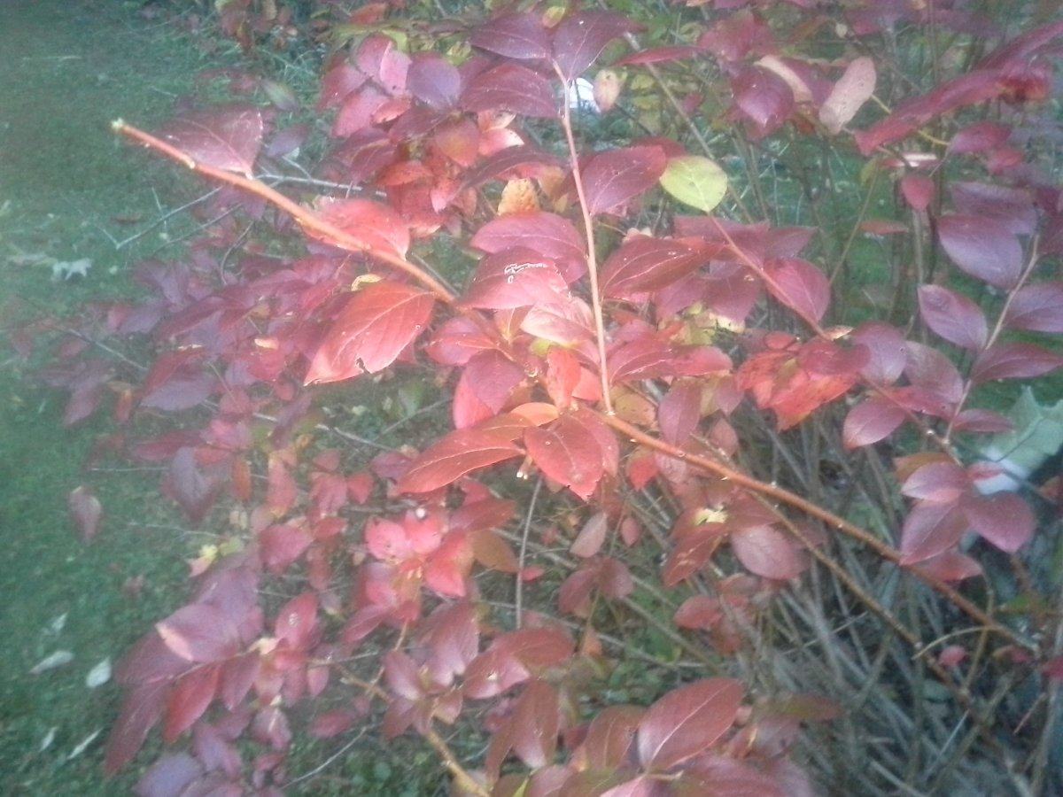 20141019_182555.jpg