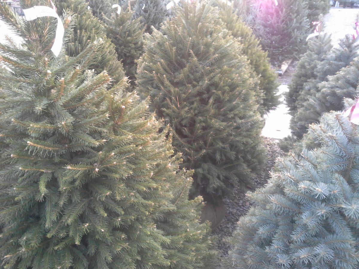 20141207_153451.jpg