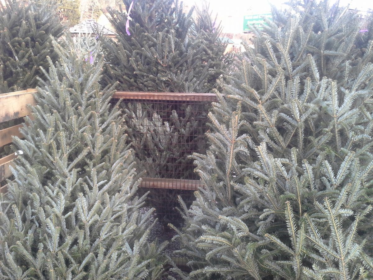 20141207_153531.jpg