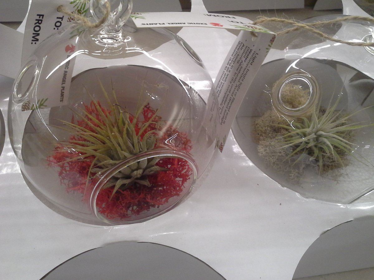 20141207_165824.jpg