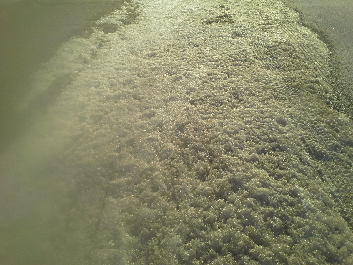 20150115_155246.jpg