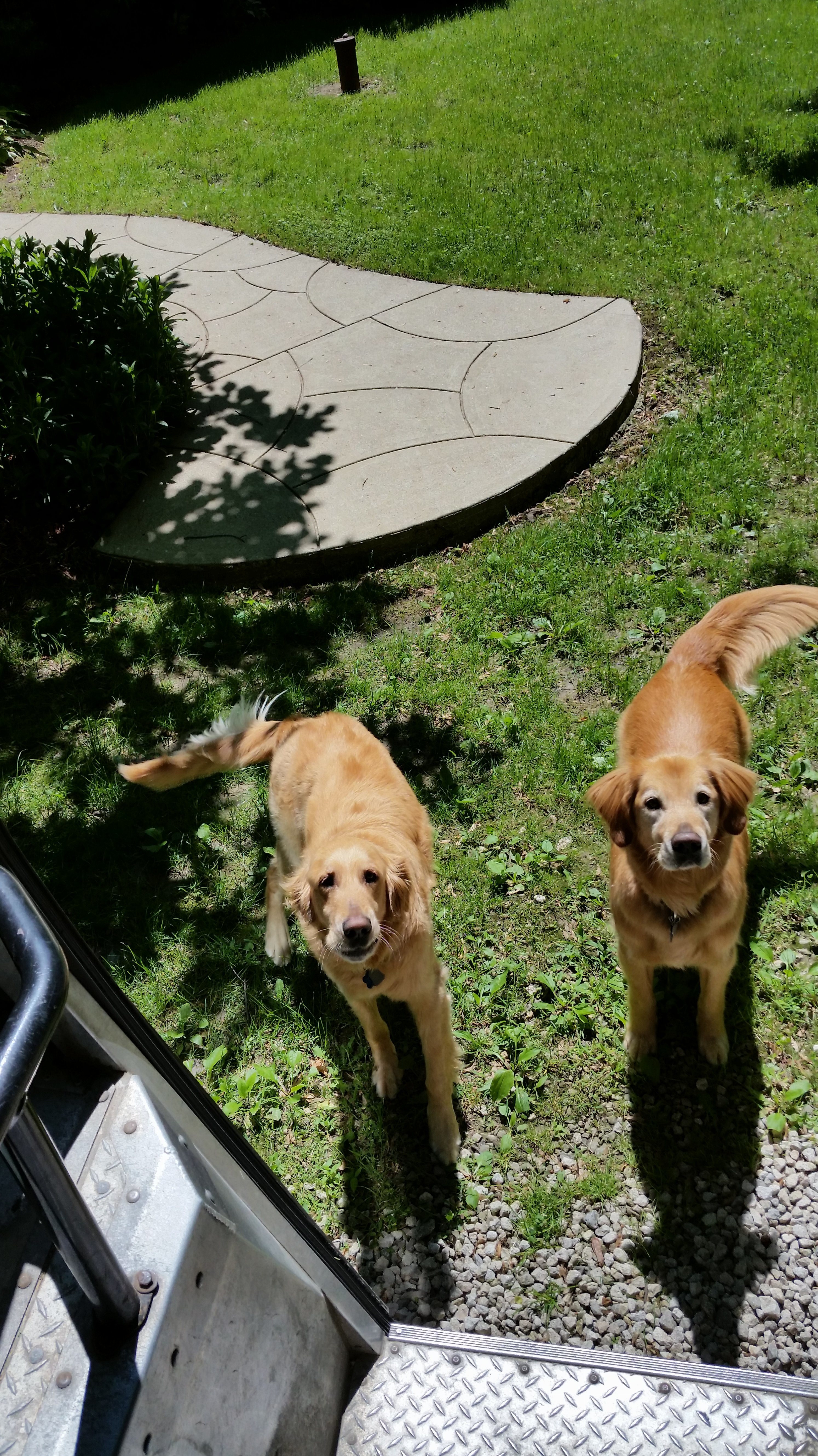 20150603_144556.jpg
