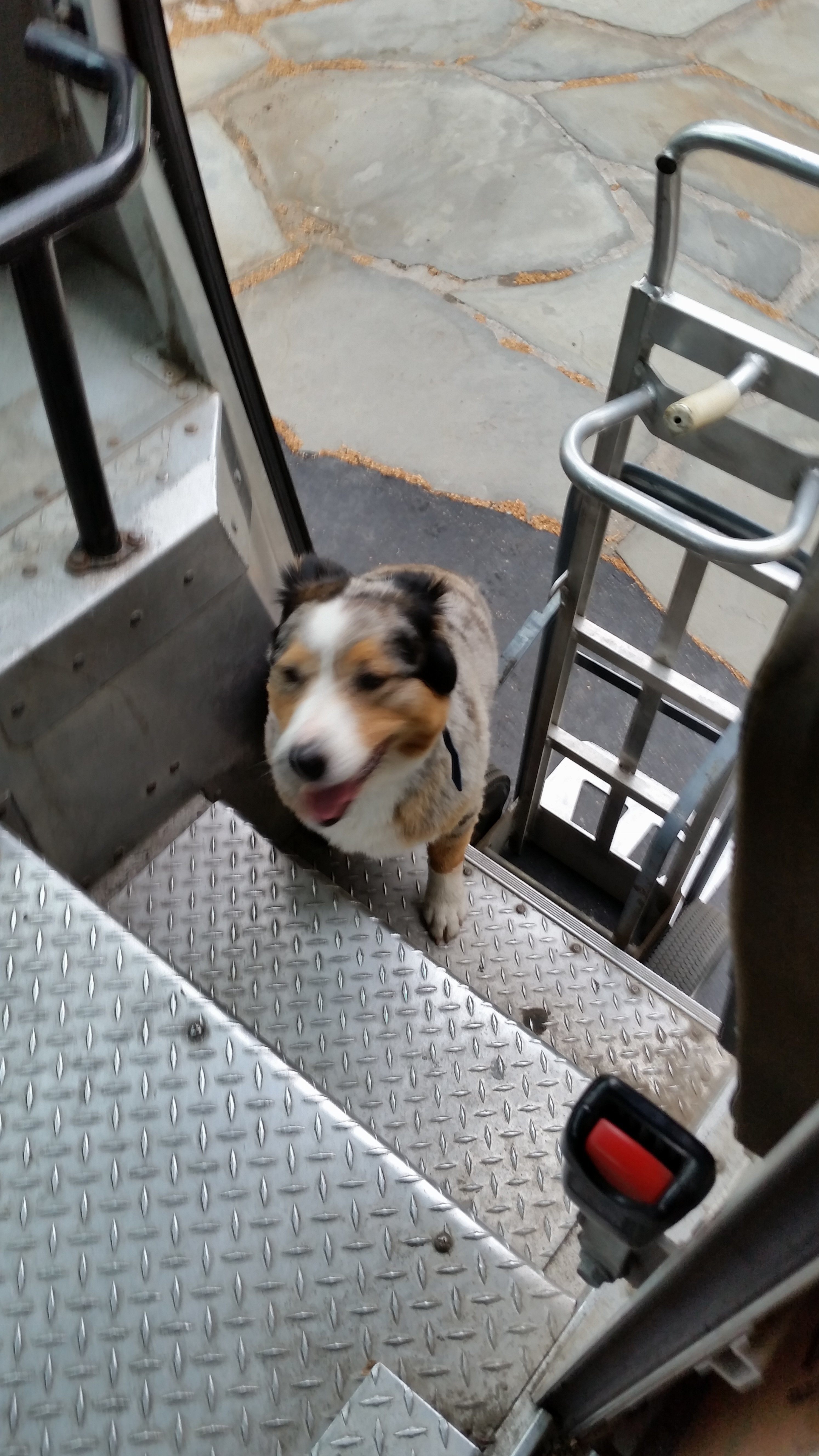 20150610_112731.jpg