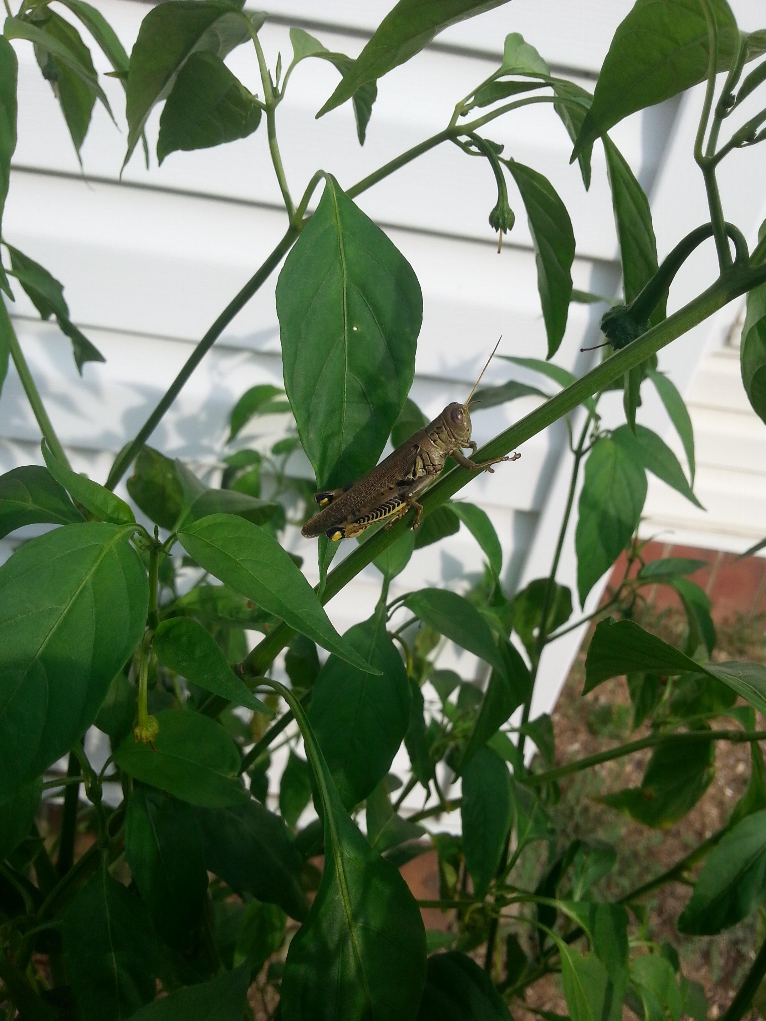 20150831_172603.jpg