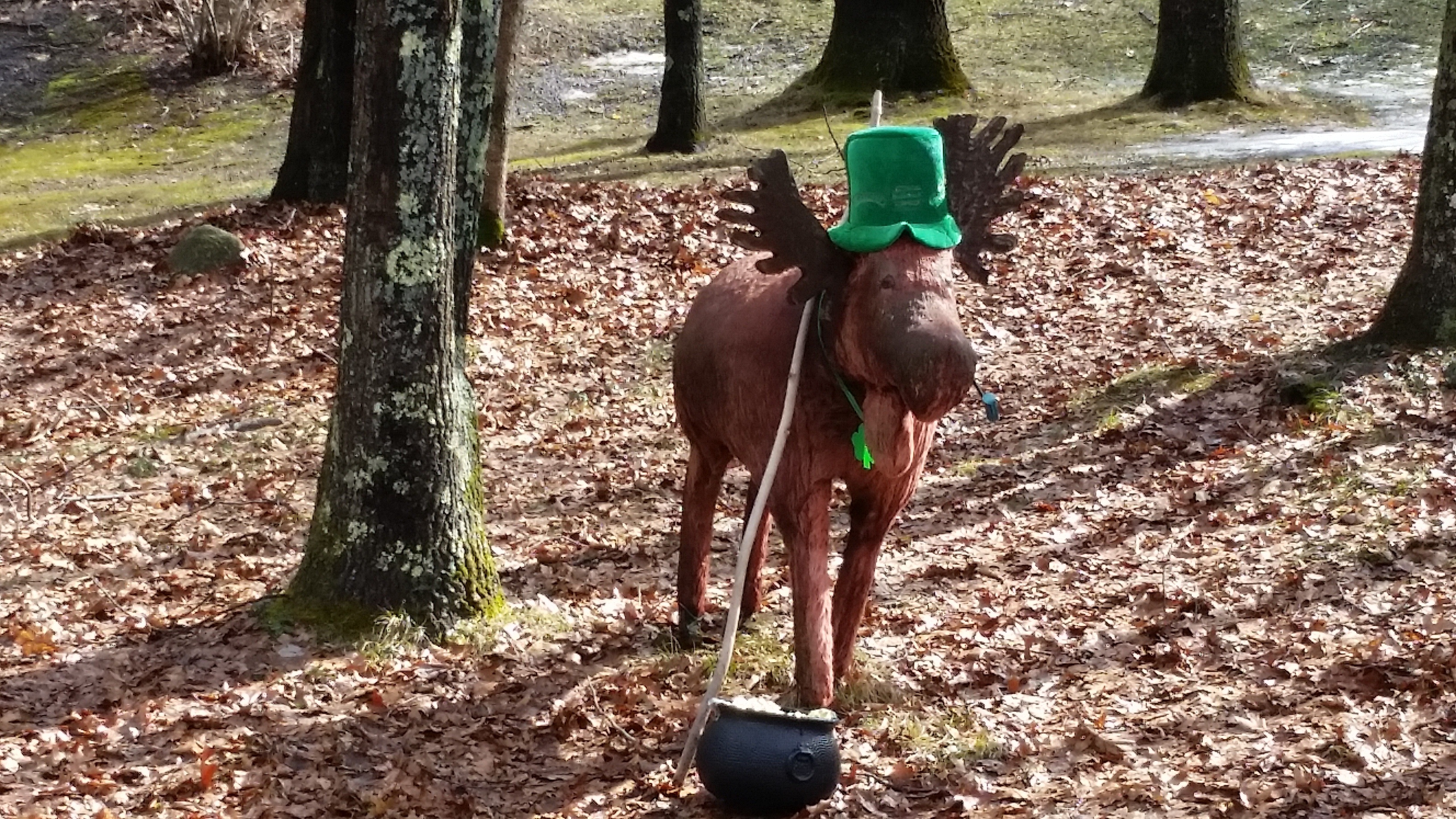 20160225_112414.jpg