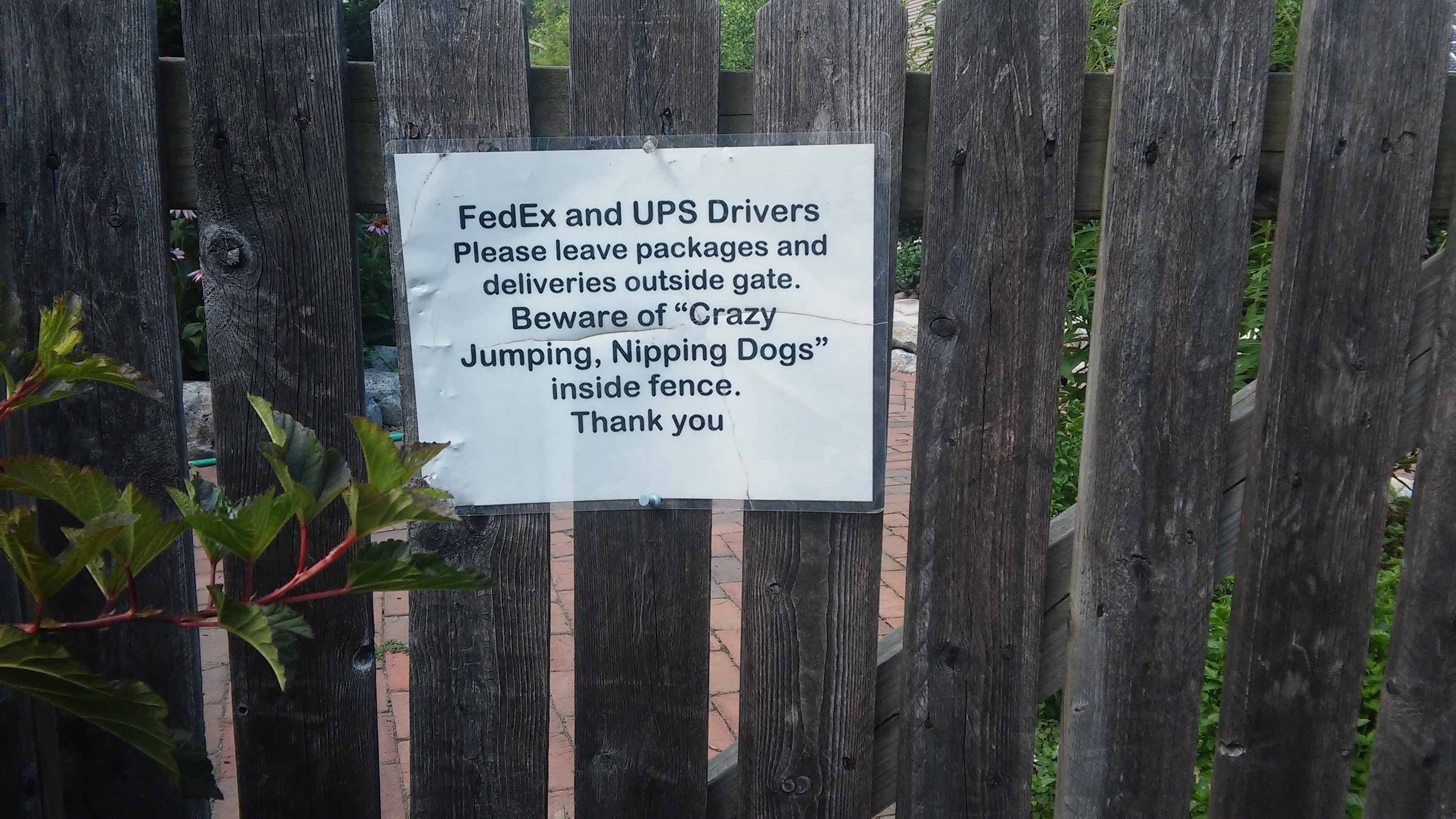 20160722_161547.jpg