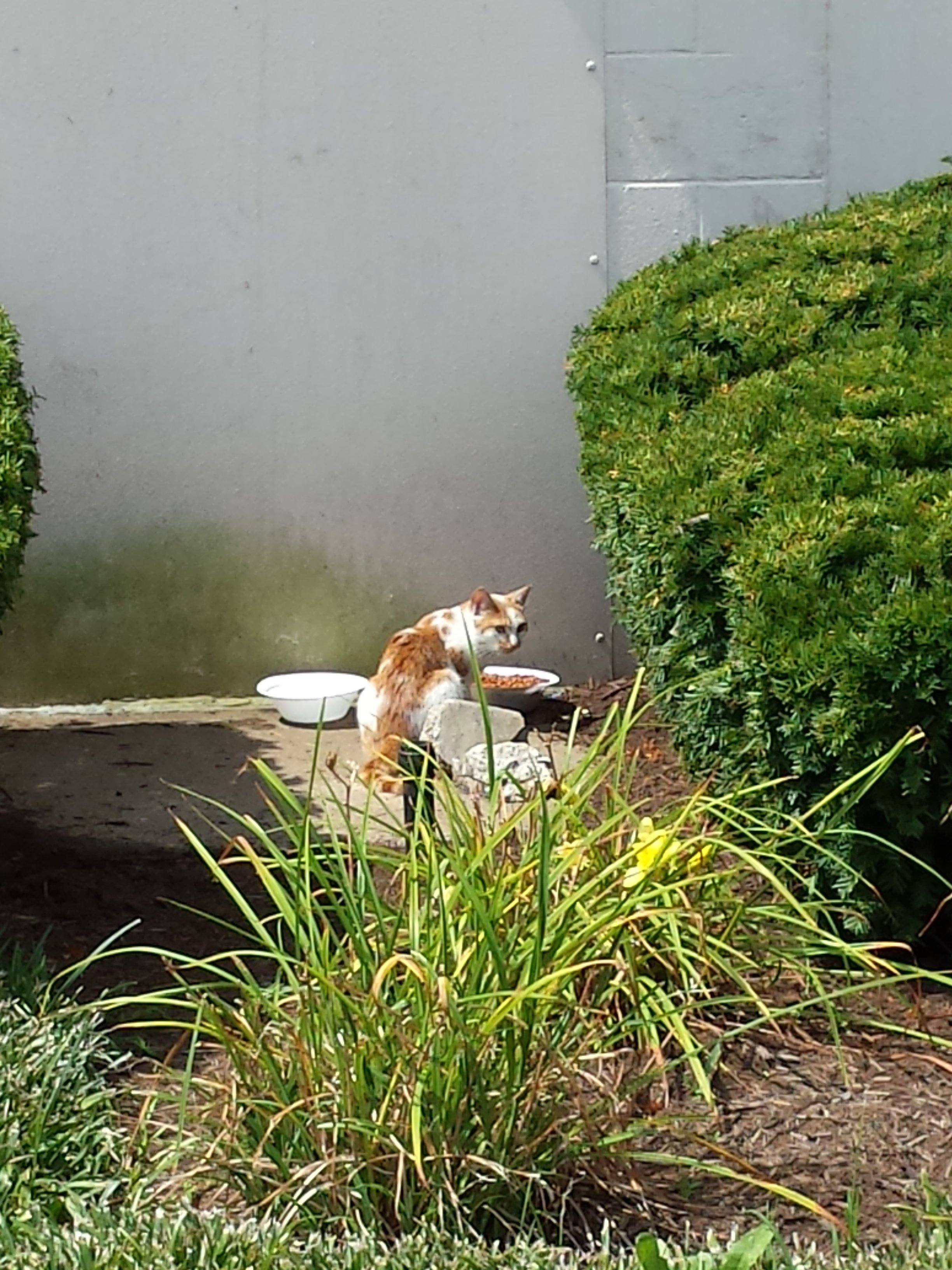 20160730_115346.jpg