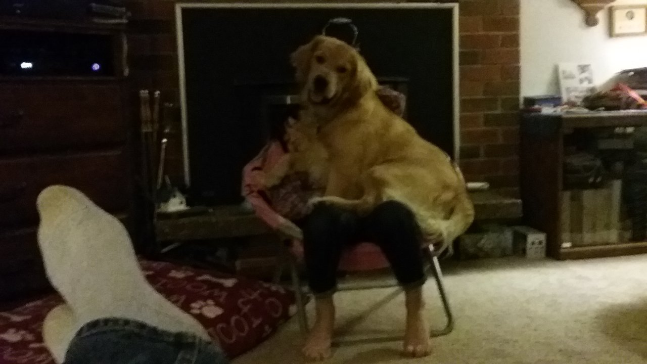 20170115_184418.jpg
