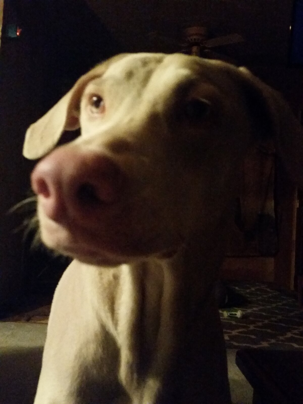 20170124_180830.jpg