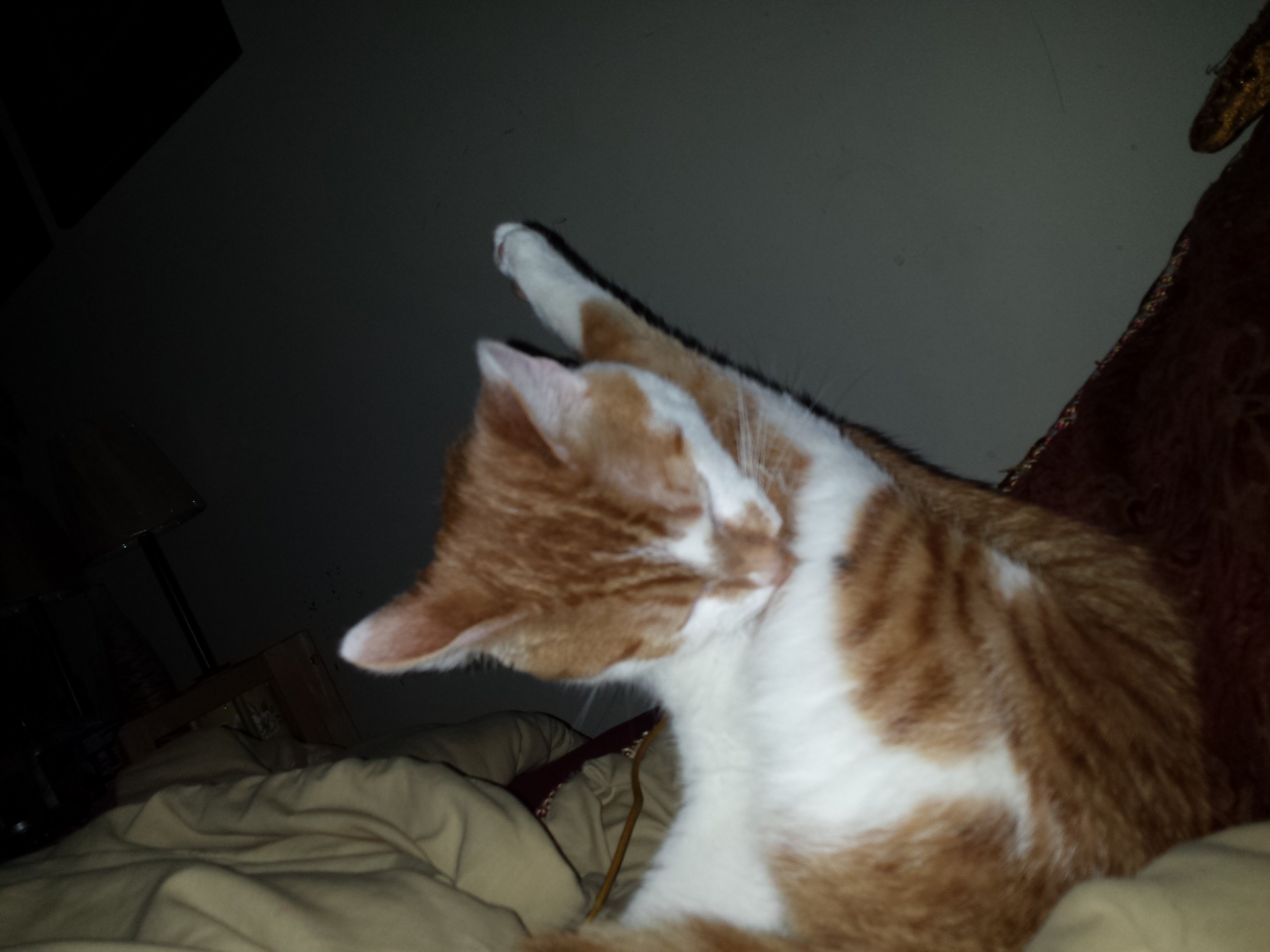 20170201_182909.jpg
