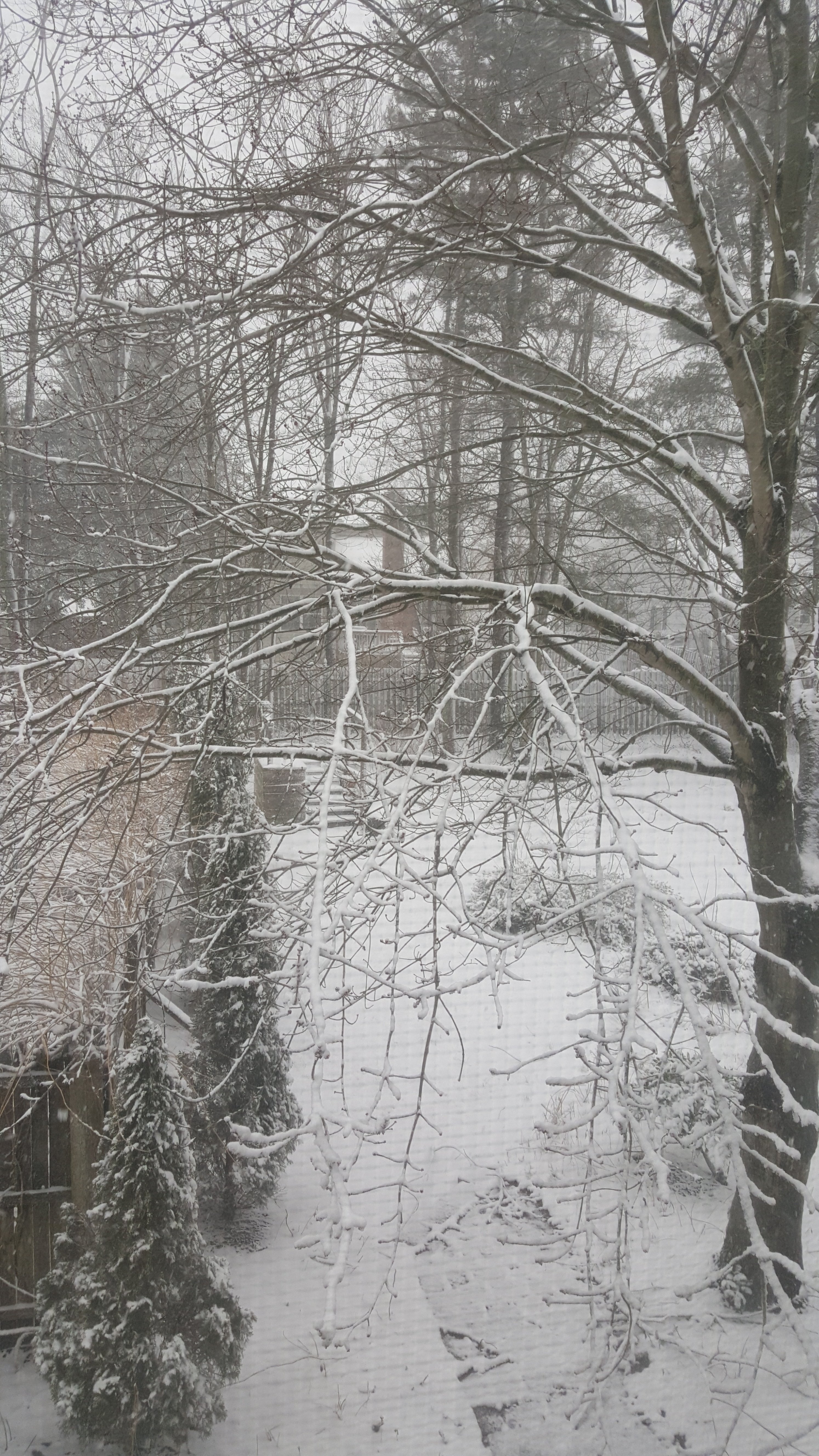 20170209_091342.jpg