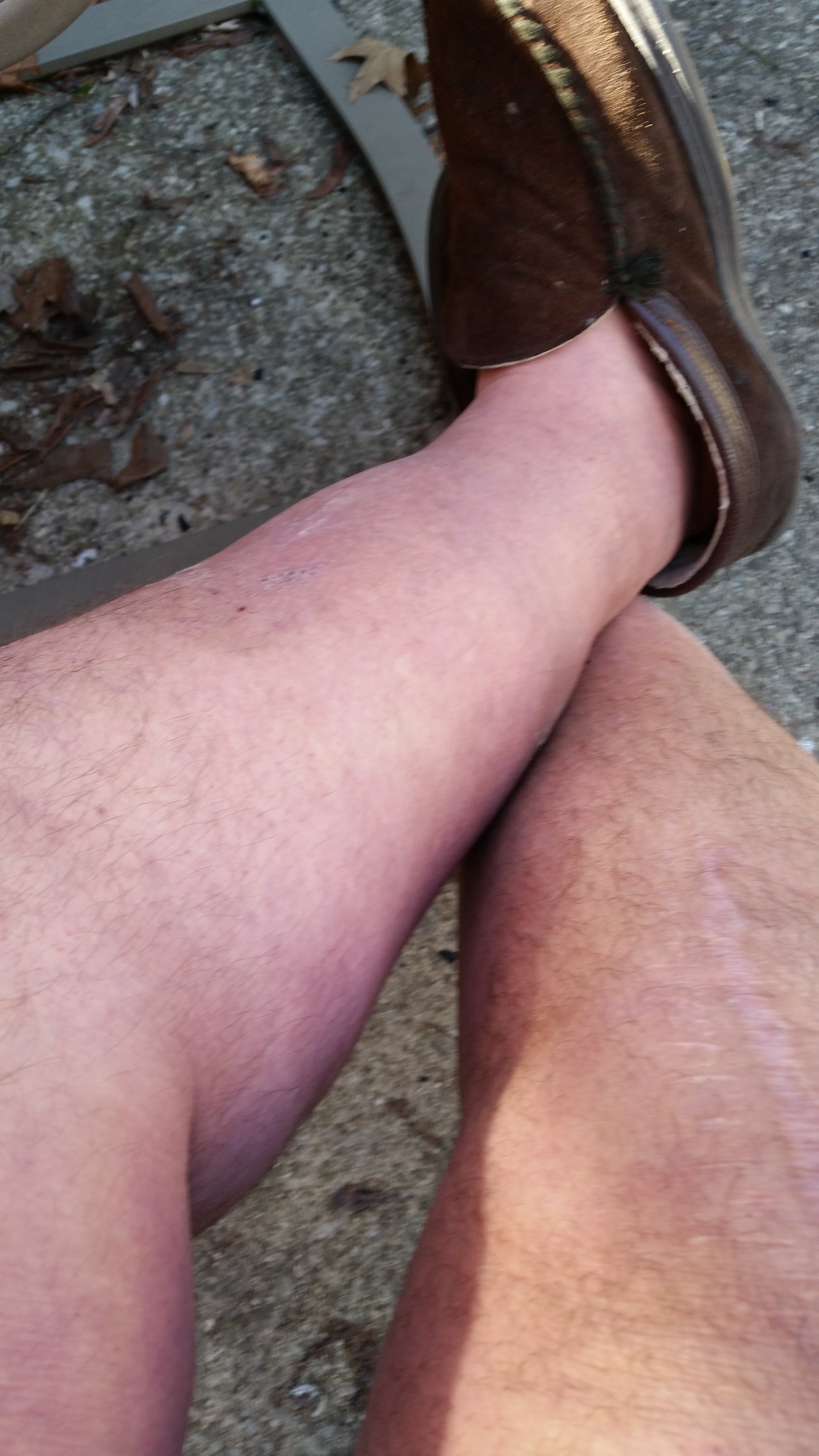 20170219_123327.jpg