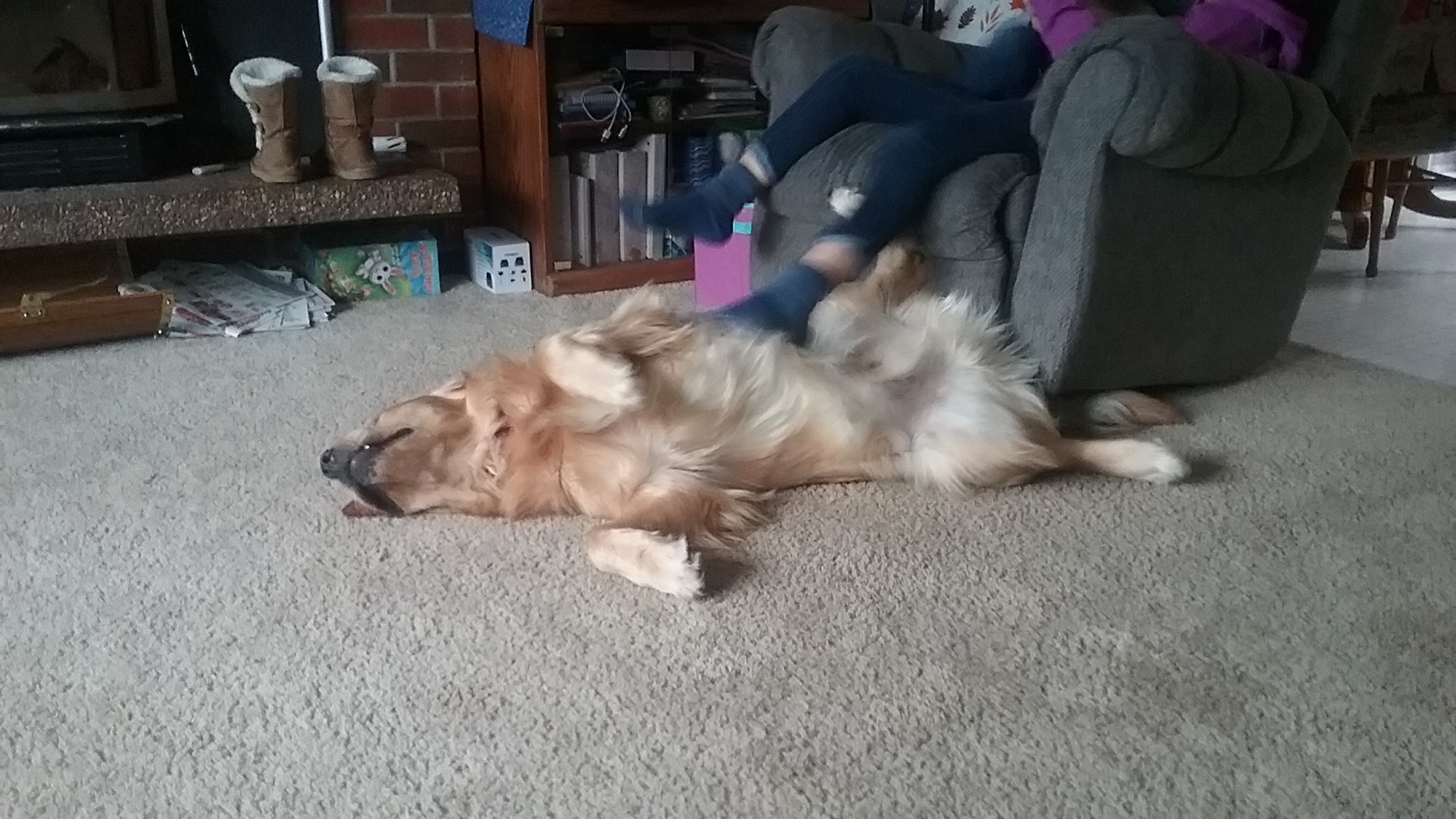 20170304_163938.jpg