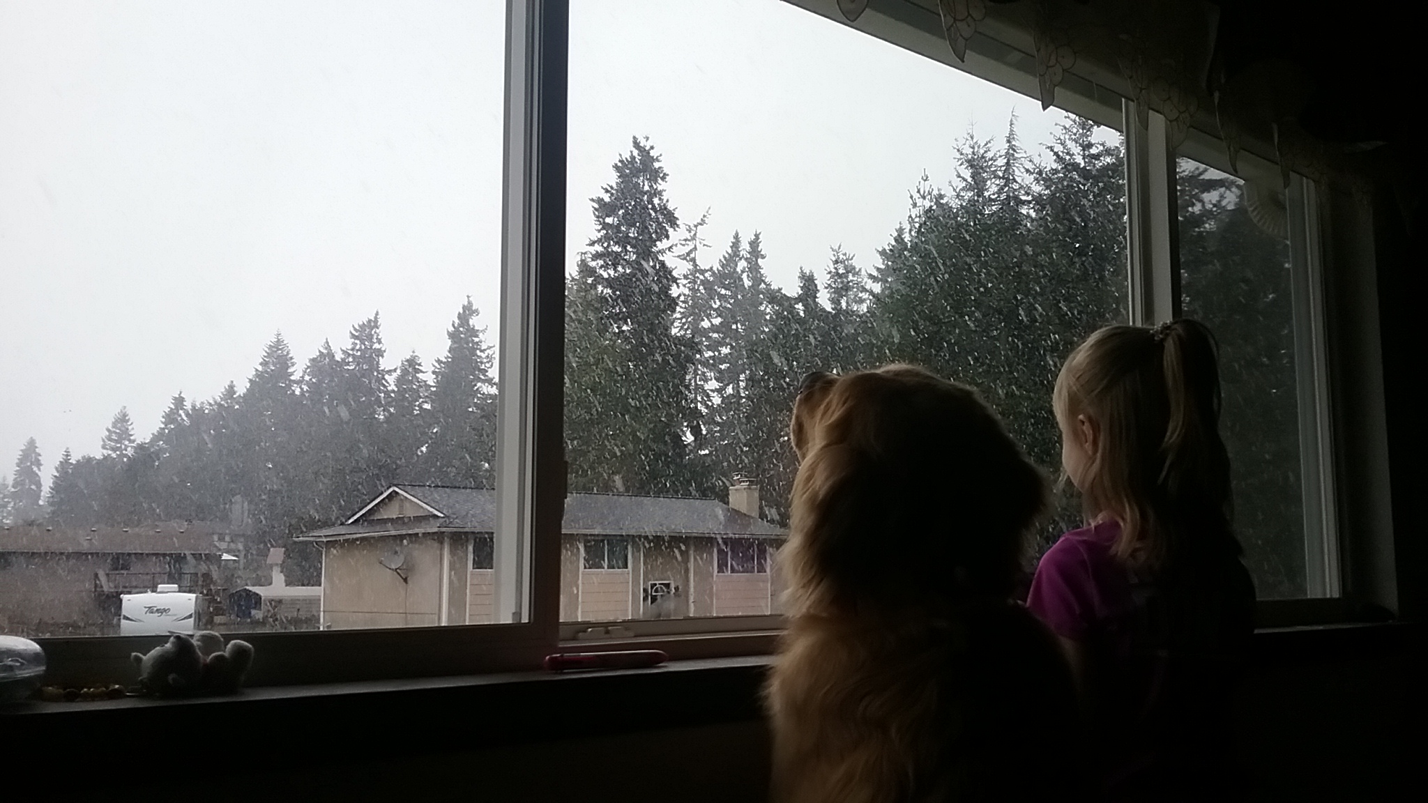 20170306_160031.jpg