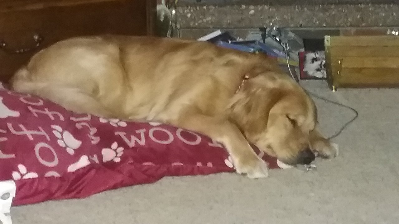 20170317_043006.jpg