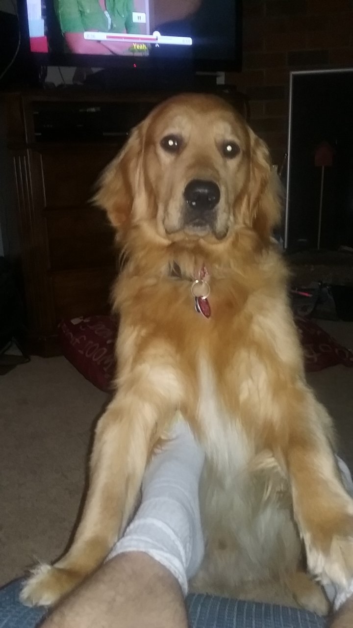 20170325_225719.jpg