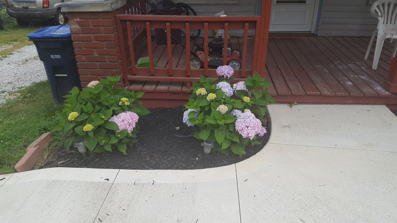 20170622_142052.jpg