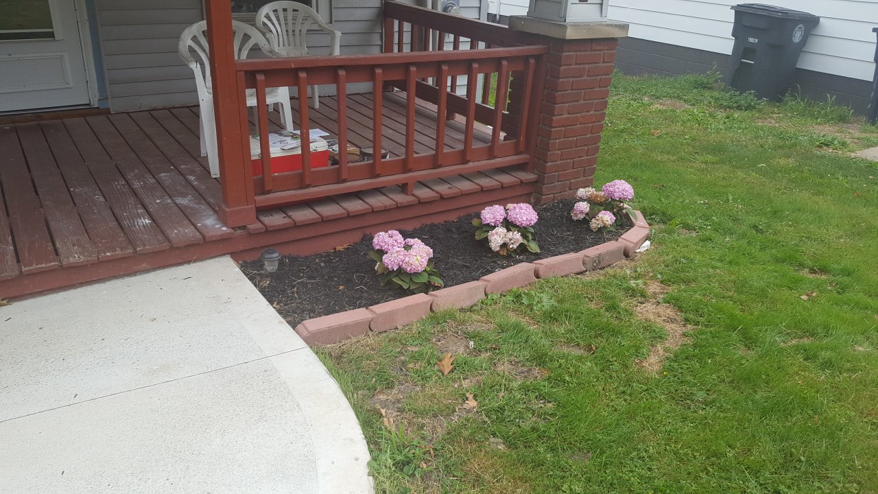 20170622_142058.jpg